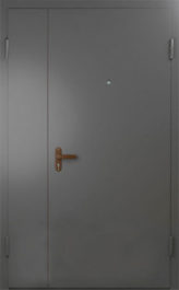 Фото двери «Техническая дверь №6 полуторная» в Аперелевке
